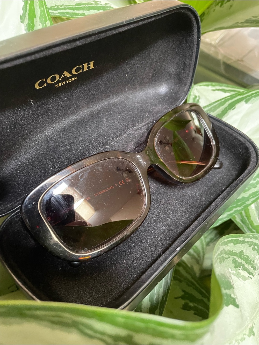Coach Tortoise Oversized Sunglasses
